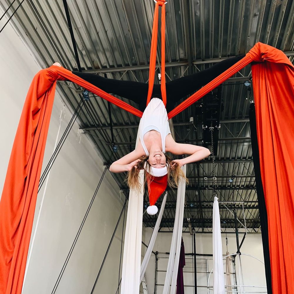 Meet your Posher, Elsa